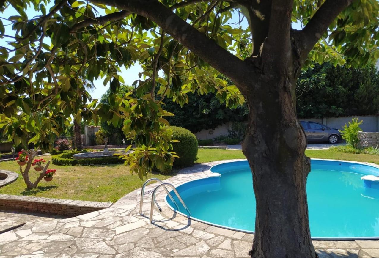 Leisure House Jovovic Villa Bar Bagian luar foto